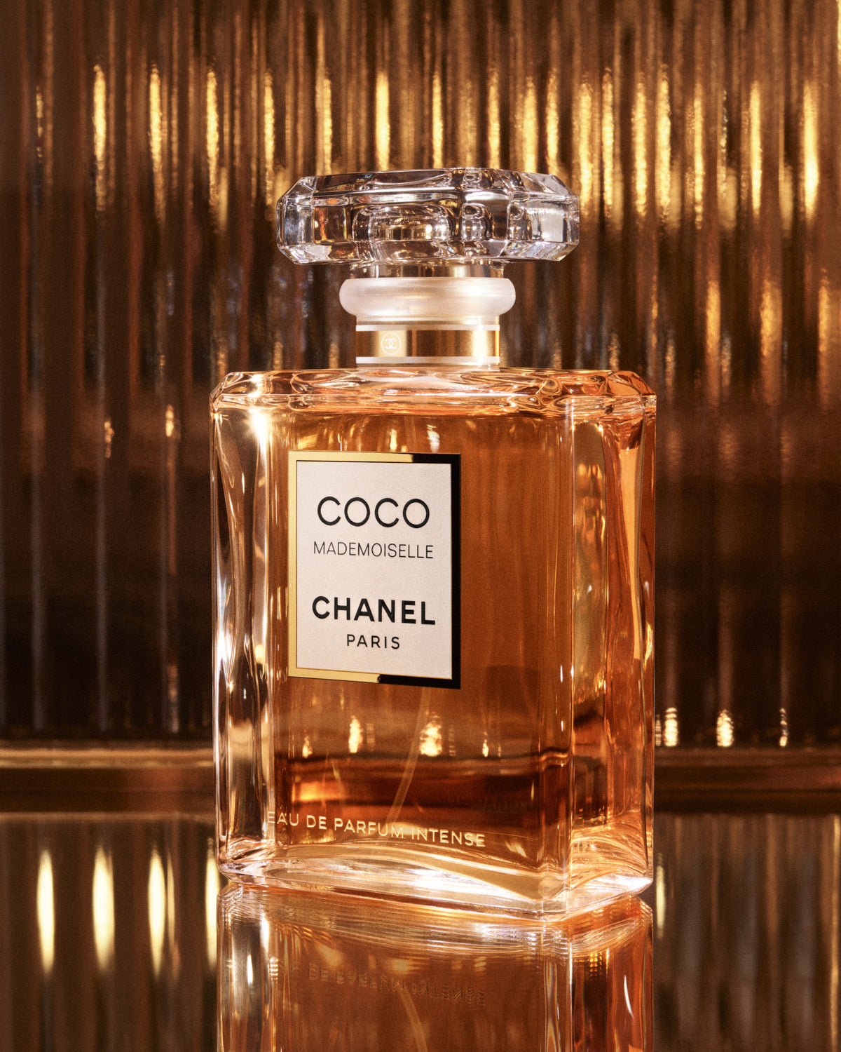Splendido profumo da donna Coco Chanel Paris, formato da 100ml